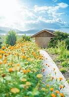 Ocean Green Ecolodge