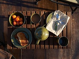 The Forest at Mount Congreve Gardens