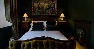 The Forest at Mount Congreve Gardens