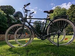 The Forest at Mount Congreve Gardens