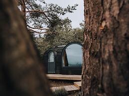 The Forest at Mount Congreve Gardens