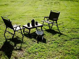 The Forest at Mount Congreve Gardens