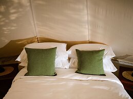 The Forest at Mount Congreve Gardens