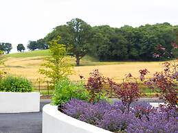 The Forest at Mount Congreve Gardens