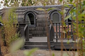 The Forest at Mount Congreve Gardens
