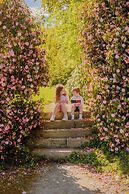 The Forest at Mount Congreve Gardens
