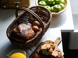 The Forest at Mount Congreve Gardens