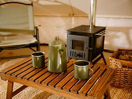 The Forest at Mount Congreve Gardens