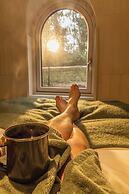 The Forest at Mount Congreve Gardens