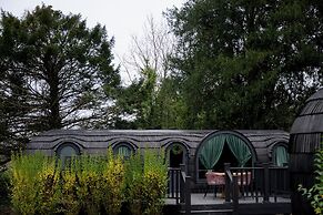 The Forest at Mount Congreve Gardens