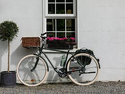 The Forest at Mount Congreve Gardens