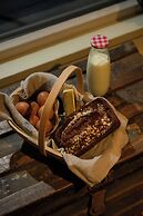 The Forest at Mount Congreve Gardens