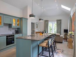 The Forest at Mount Congreve Gardens