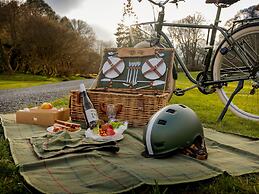 The Forest at Mount Congreve Gardens