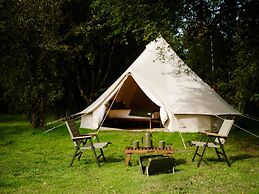 The Forest at Mount Congreve Gardens