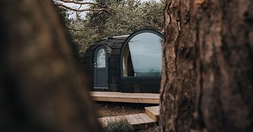 The Forest at Mount Congreve Gardens