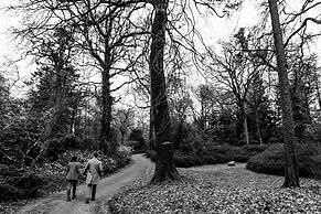 The Forest at Mount Congreve Gardens
