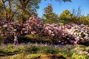 The Forest at Mount Congreve Gardens