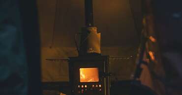 The Forest at Mount Congreve Gardens