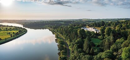 The Forest at Mount Congreve Gardens