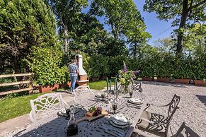 The Forest at Mount Congreve Gardens