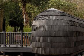 The Forest at Mount Congreve Gardens