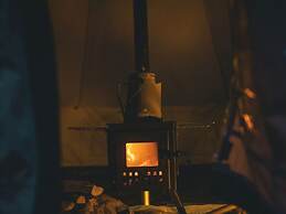 The Forest at Mount Congreve Gardens