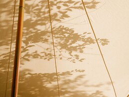 The Forest at Mount Congreve Gardens