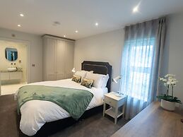 The Forest at Mount Congreve Gardens