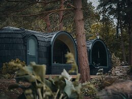 The Forest at Mount Congreve Gardens