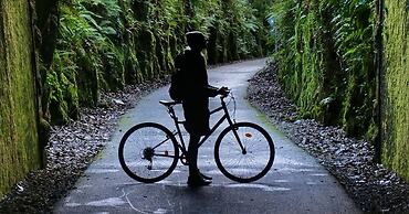 The Forest at Mount Congreve Gardens