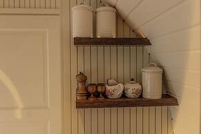 The Forest at Mount Congreve Gardens