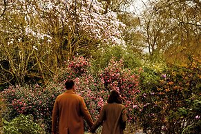 The Forest at Mount Congreve Gardens