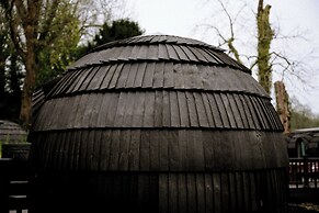 The Forest at Mount Congreve Gardens