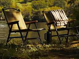 The Forest at Mount Congreve Gardens