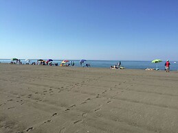 Farm With Pool in Montalto di Castro