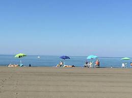 Farm With Pool in Montalto di Castro