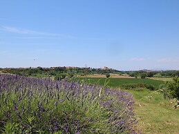Farm With Pool in Montalto di Castro