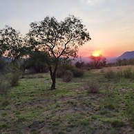 Natures Green Resort and Spa