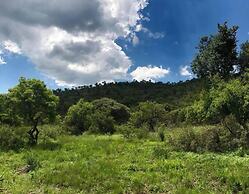 Natures Green Resort and Spa