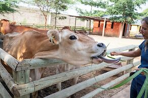 Lodge du Ranch de Bandia