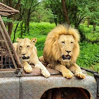 Lodge du Ranch de Bandia