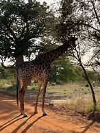 Lodge du Ranch de Bandia