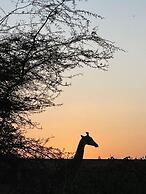 Lodge du Ranch de Bandia
