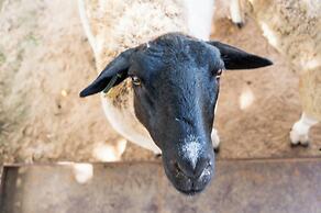 Lodge du Ranch de Bandia