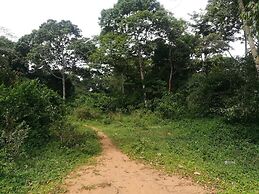 De Rain Eco Beach Resort