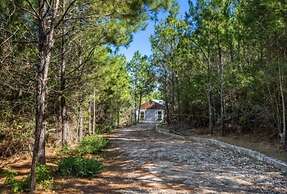 Modern Cabin in Pine Forest Near Austin
