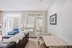 90sw - Fireplace - Dishwasher - W/D - Pets OK