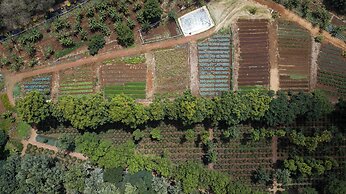 Ngorongoro Farm House