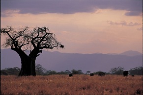 Ngorongoro Farm House